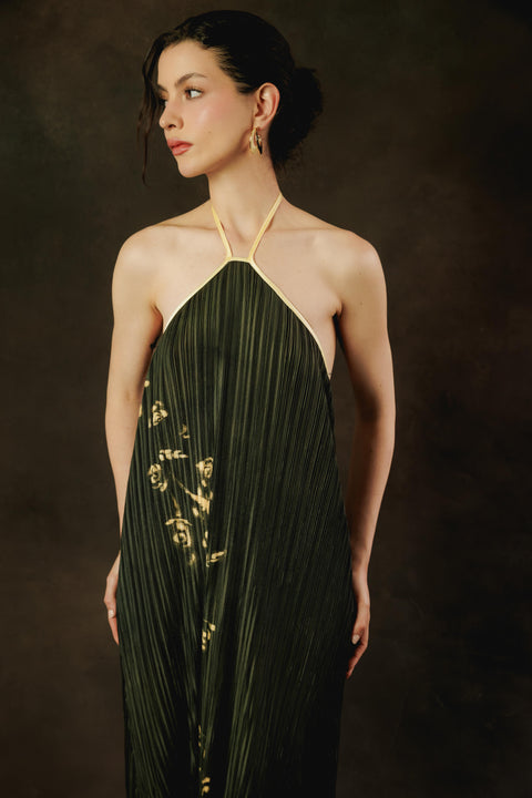La Sembradora Dress