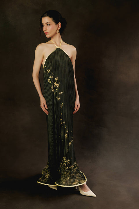 La Sembradora Dress