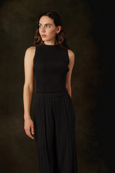 Micro Pleated Top